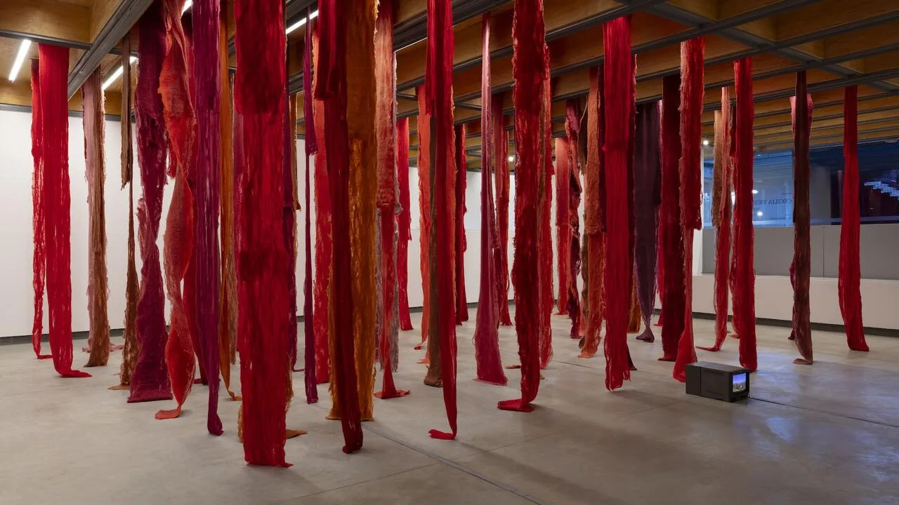 1. Cecilia Vicuña, Quipu Menstrual 1, 2006 2024 1. Cecilia Vicuña, Quipu Menstrual 1, 2006 2024