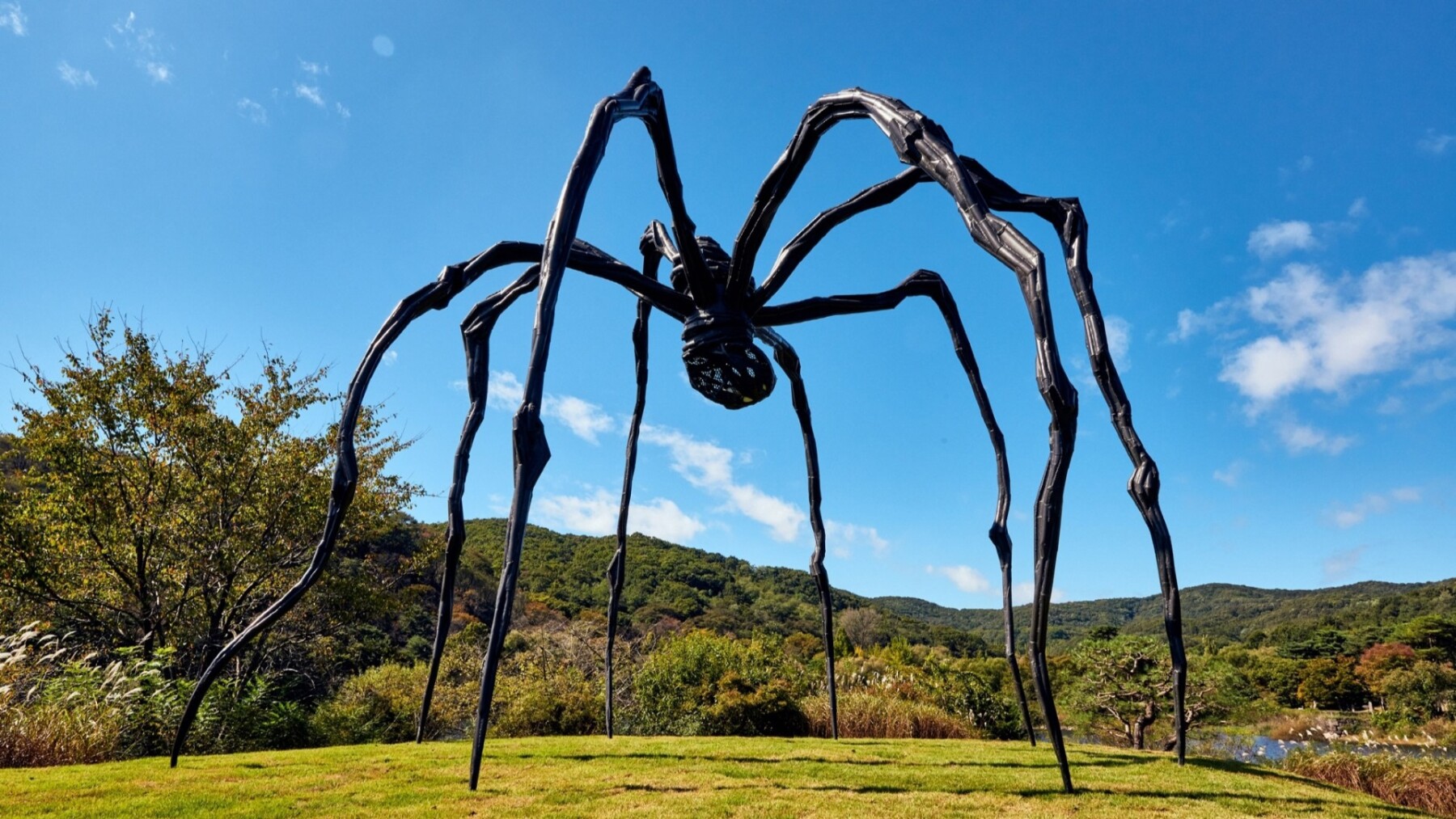 5 Not to Miss Exhibitions During Seoul Art Week