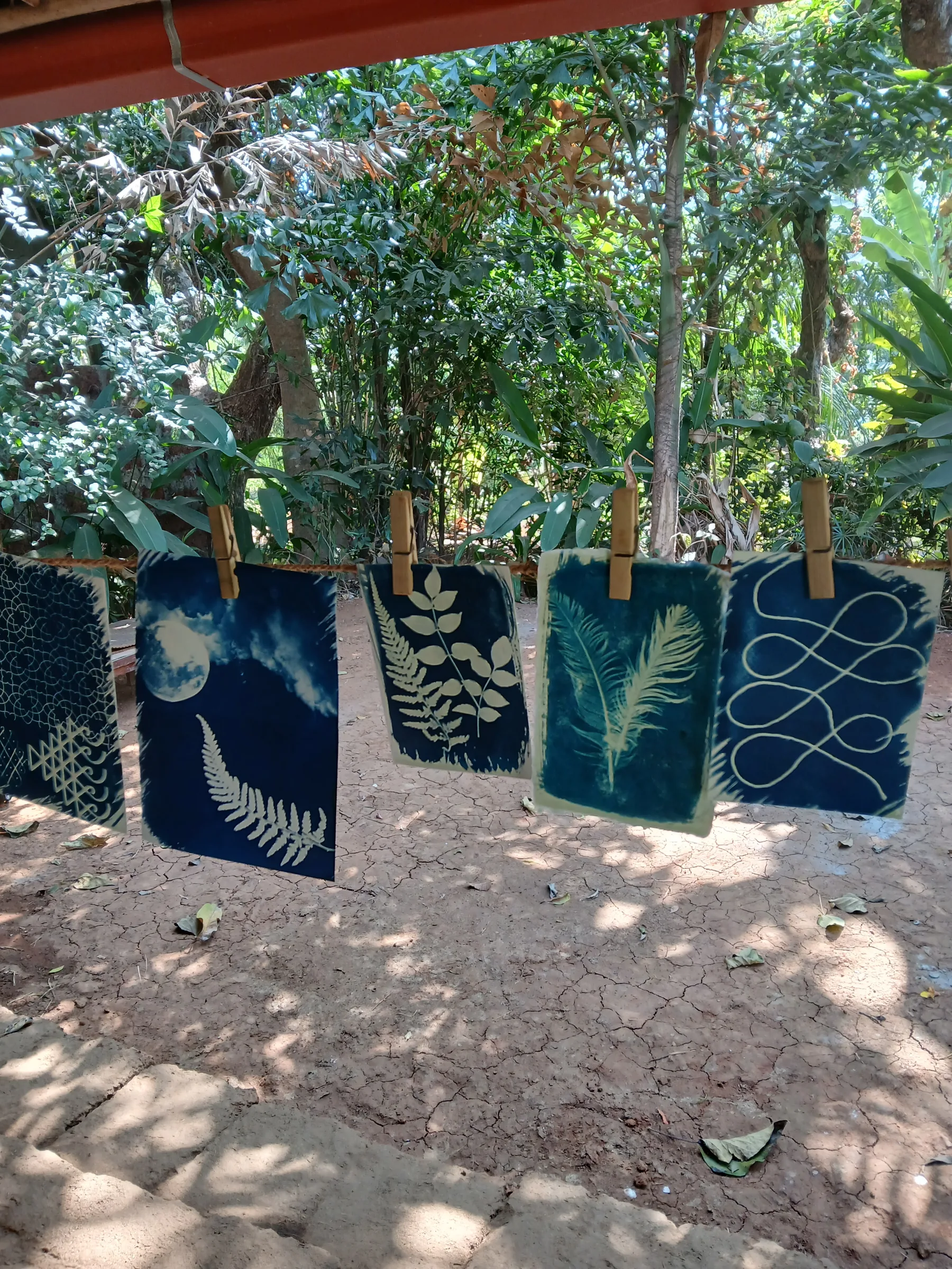 Host Your Own Cyanotype Workshop at Madoo Gardens