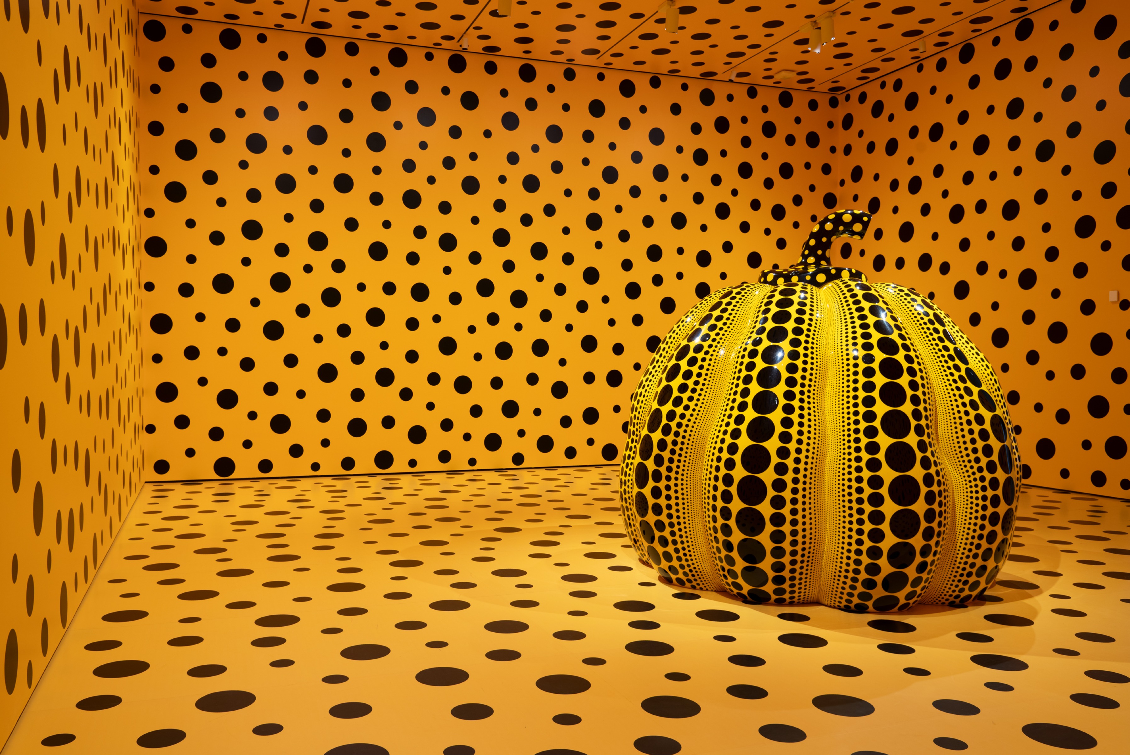 Yayoi Kusama “One With Eternity” Photo: Brenda Bieger, Courtesy of Buffalo AKG Art Museum