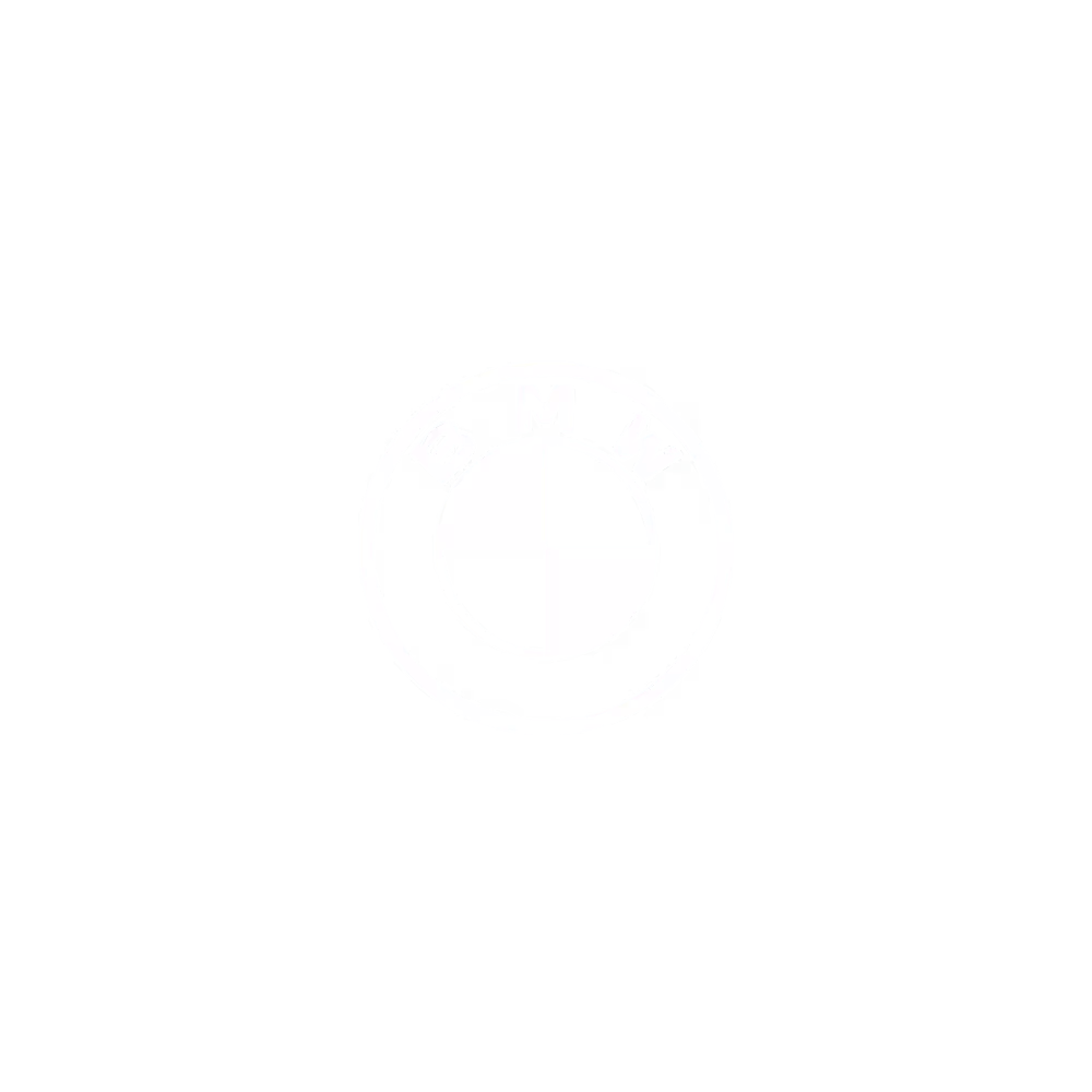 Bmw Logo Test