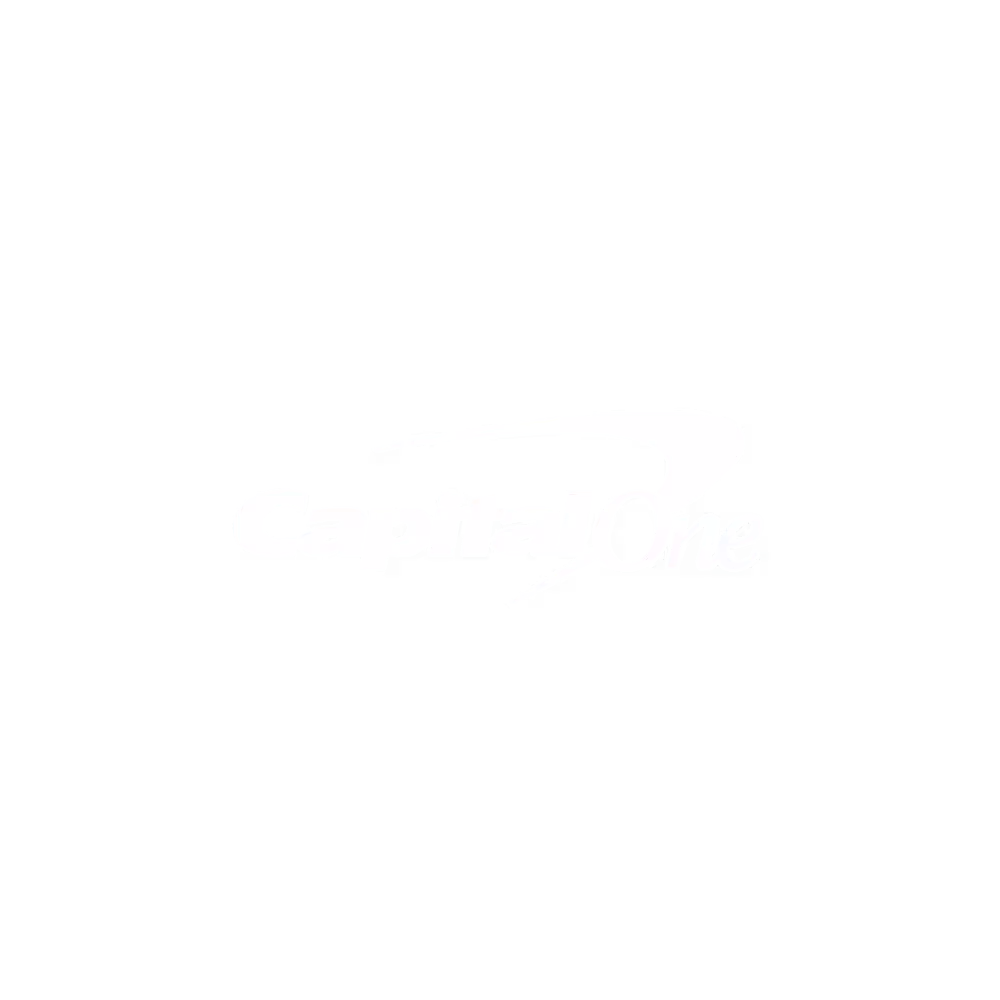 Capital One Logo Test