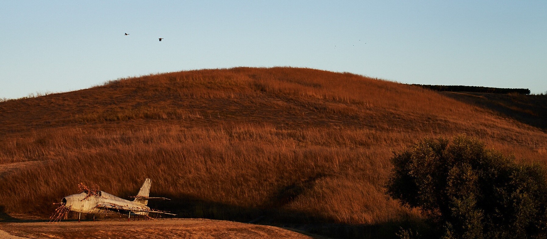 Art & Wine: Highlights from Our Napa Weekend