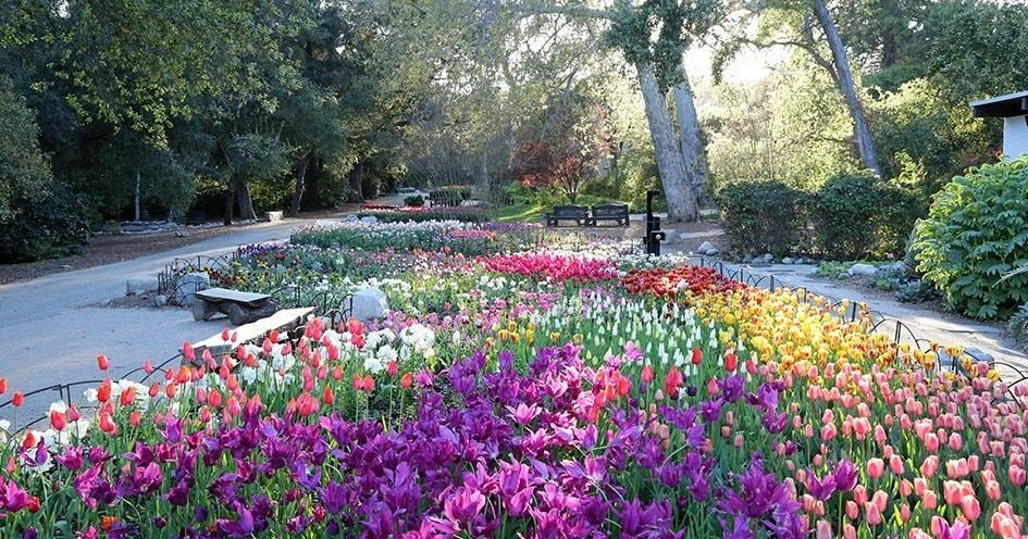 Coffee and Private Tour at Descanso Gardens of Natura Naturata 