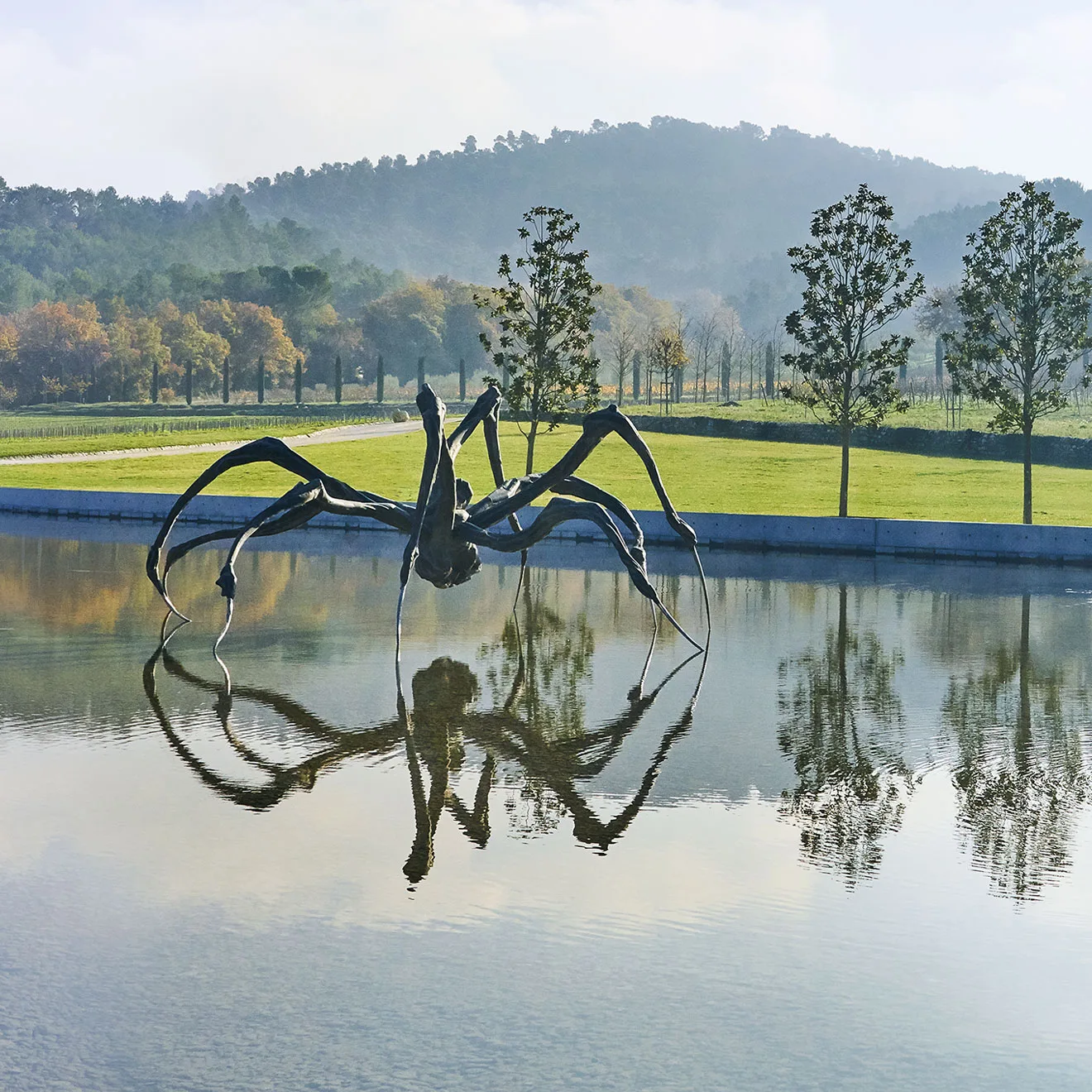 Take a Private Tour of Château La Coste