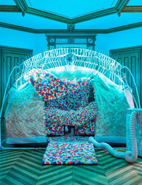 Immerse Yourself in Bobby Anspach's World