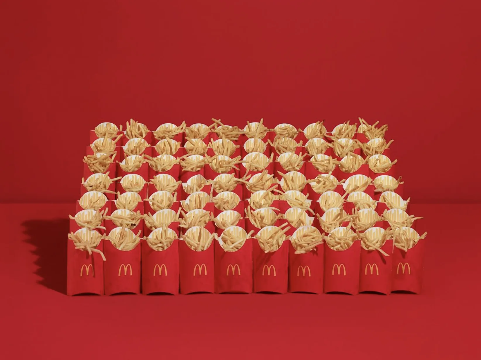 Masterpiece Spotlight: Taryn Simon's McDonald's Fries